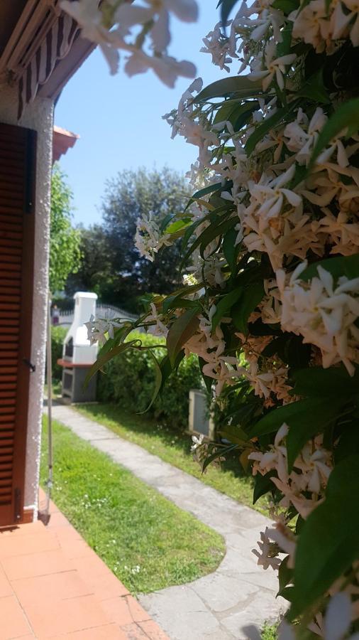 Villetta Cinquale Versilia Luaran gambar