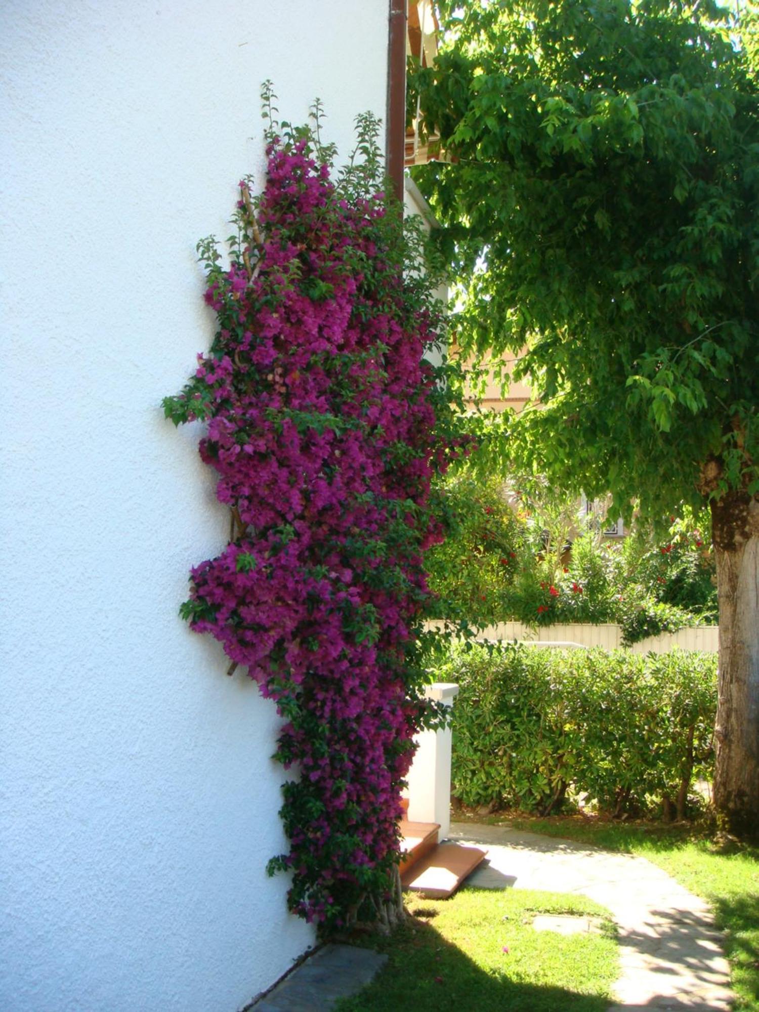 Villetta Cinquale Versilia Luaran gambar